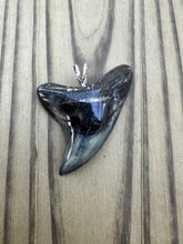 Load image into Gallery viewer, 2 1/4 Inch Polished Parotodus Benedeni Shark Tooth Pendant
