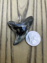 Load image into Gallery viewer, 2 1/4 Inch Polished Parotodus Benedeni Shark Tooth Pendant
