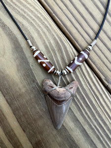 1 7/8 inch Fossilized Angustiden Shark Tooth Necklace featuring Brown Bones With Yin and Yang Design