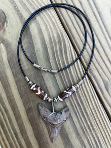 2 inch Fossilized Angustiden Shark Tooth Necklace featuring Brown Bones With Yin and Yang Design