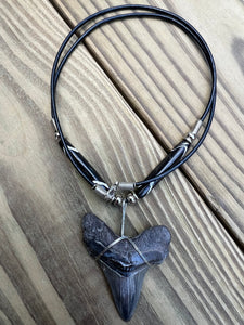 2 1/8 inch Fossilized Angustiden Shark Tooth Necklace featuring Dark Brown and White Bone Beads