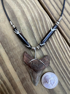 2 1/16 inch Fossilized Angustiden Shark Tooth Necklace featuring Dark Brown and White Bone Beads