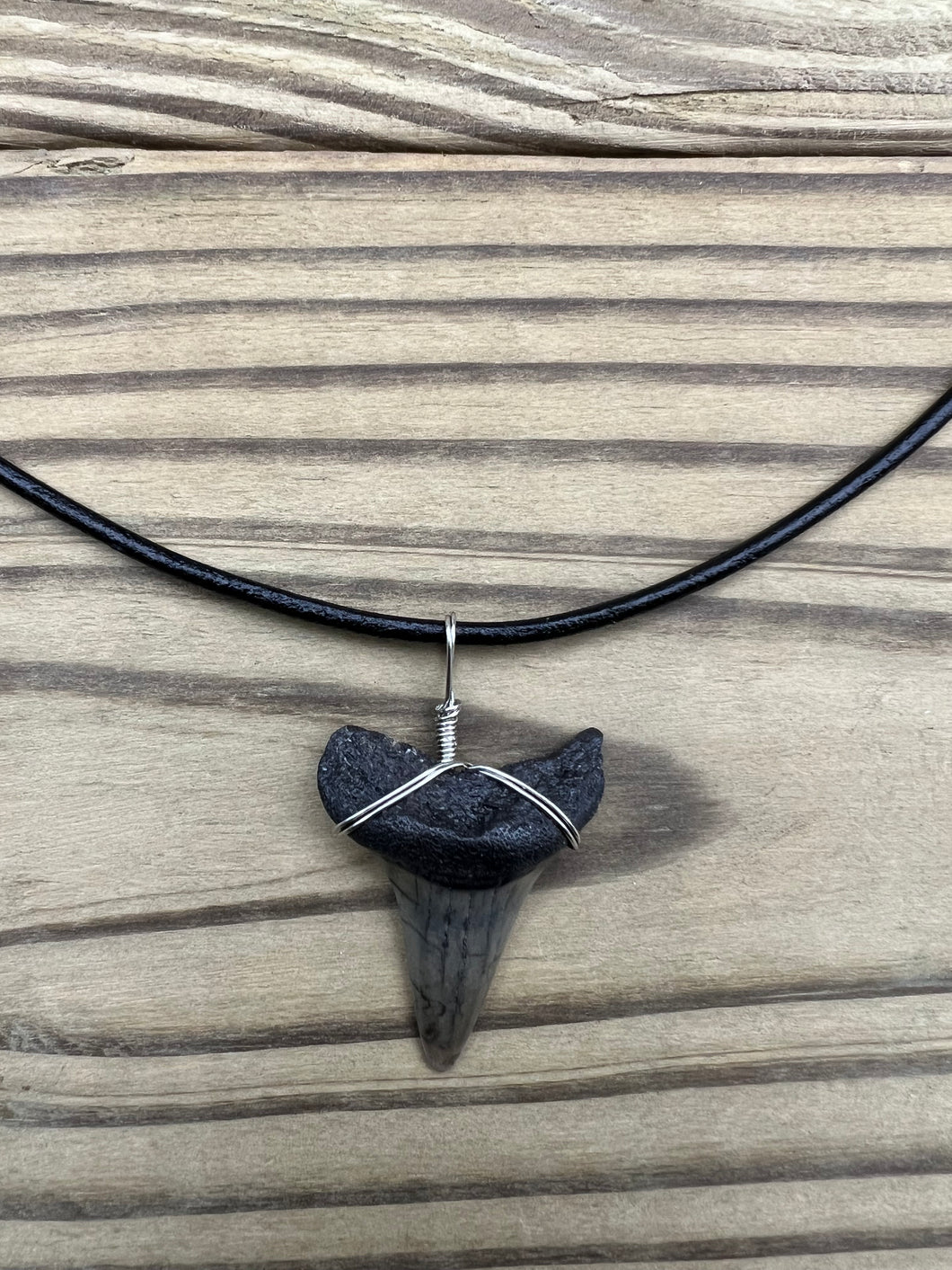 1 7/16 Inch Fossil Mako Shark Tooth Necklace