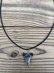 1 7/16 Inch Fossil Mako Shark Tooth Necklace