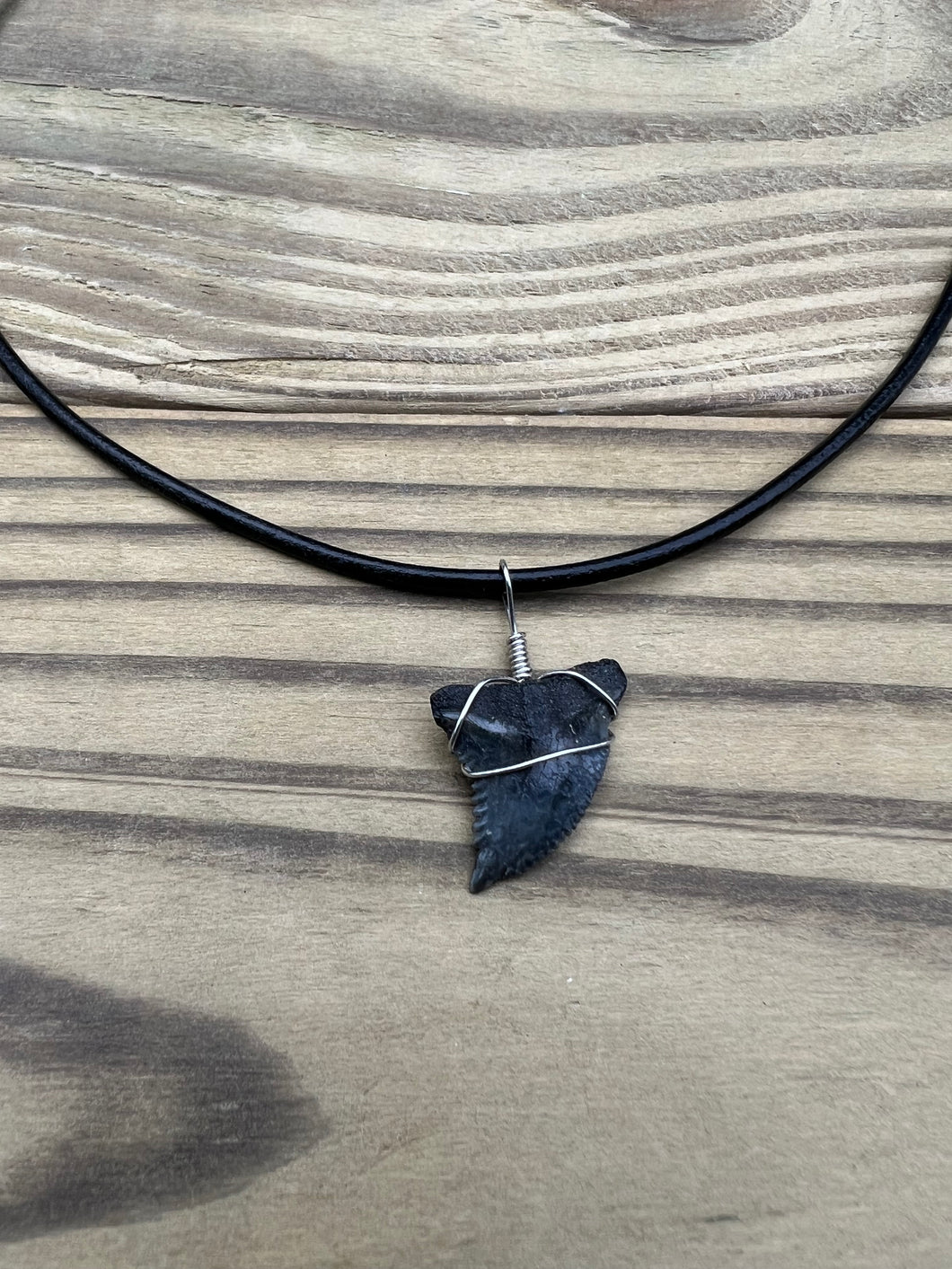 Fossilized Hemipristis Shark Tooth Necklace Left Tip