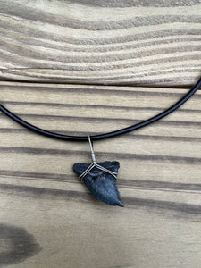 Fossilized Hemipristis Shark Tooth Necklace Left Tip