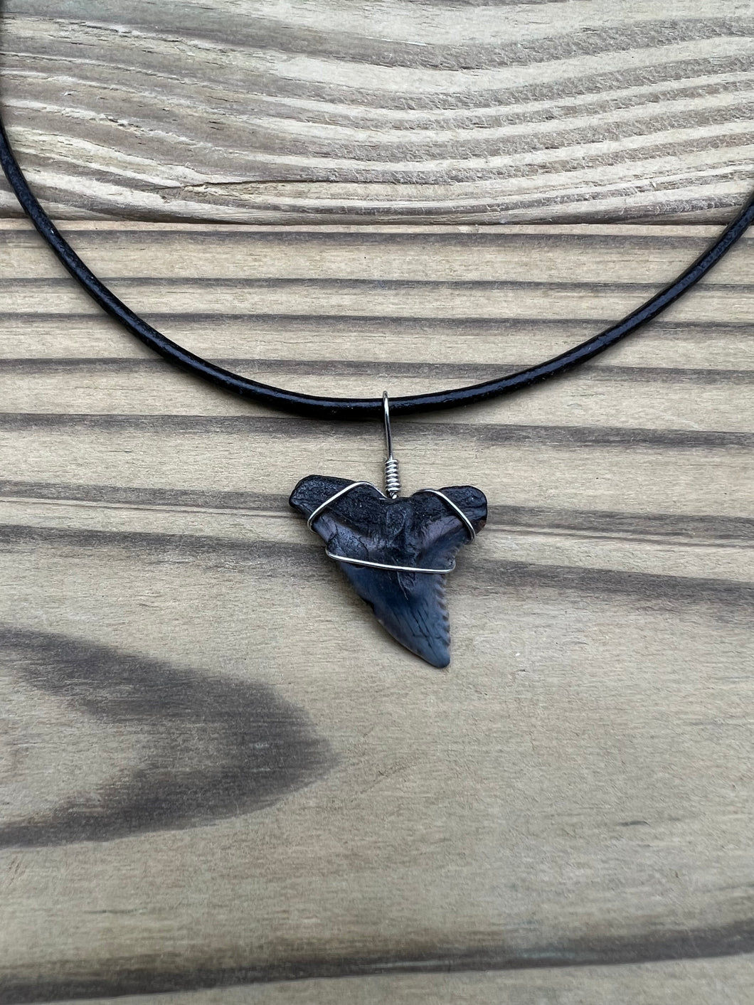 Fossilized Hemipristis Shark Tooth Necklace