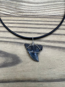 Fossilized Hemipristis Shark Tooth Necklace Right Tip