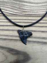 Load image into Gallery viewer, Fossil Hemipristis Shark Tooth Necklace Right Tip
