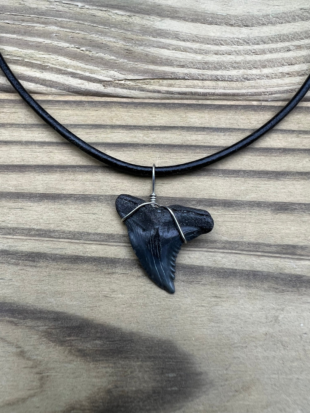 Fossil Hemipristis Shark Tooth Necklace Right Tip