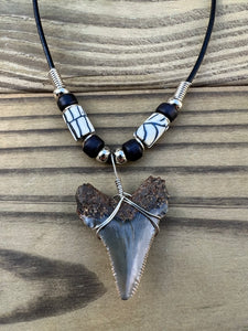 1 3/8 inch Fossilized Angustiden Shark Tooth Necklace featuring Black and White Beads