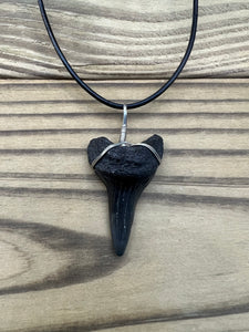 1 11/16 Inch Fossil Mako Shark Tooth Necklace