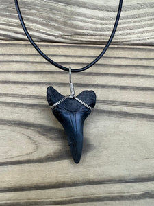 1 11/16 Inch Fossil Mako Shark Tooth Necklace