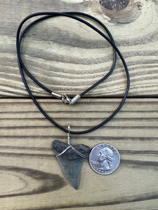 1 5/8 Inch Fossil Mako Shark Tooth Necklace