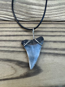 1 5/8 Inch Fossil Mako Shark Tooth Necklace