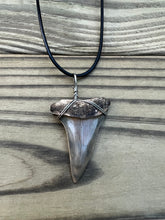 Load image into Gallery viewer, 1 11/16 Inch Fossilized Mako Shark Tooth Necklace
