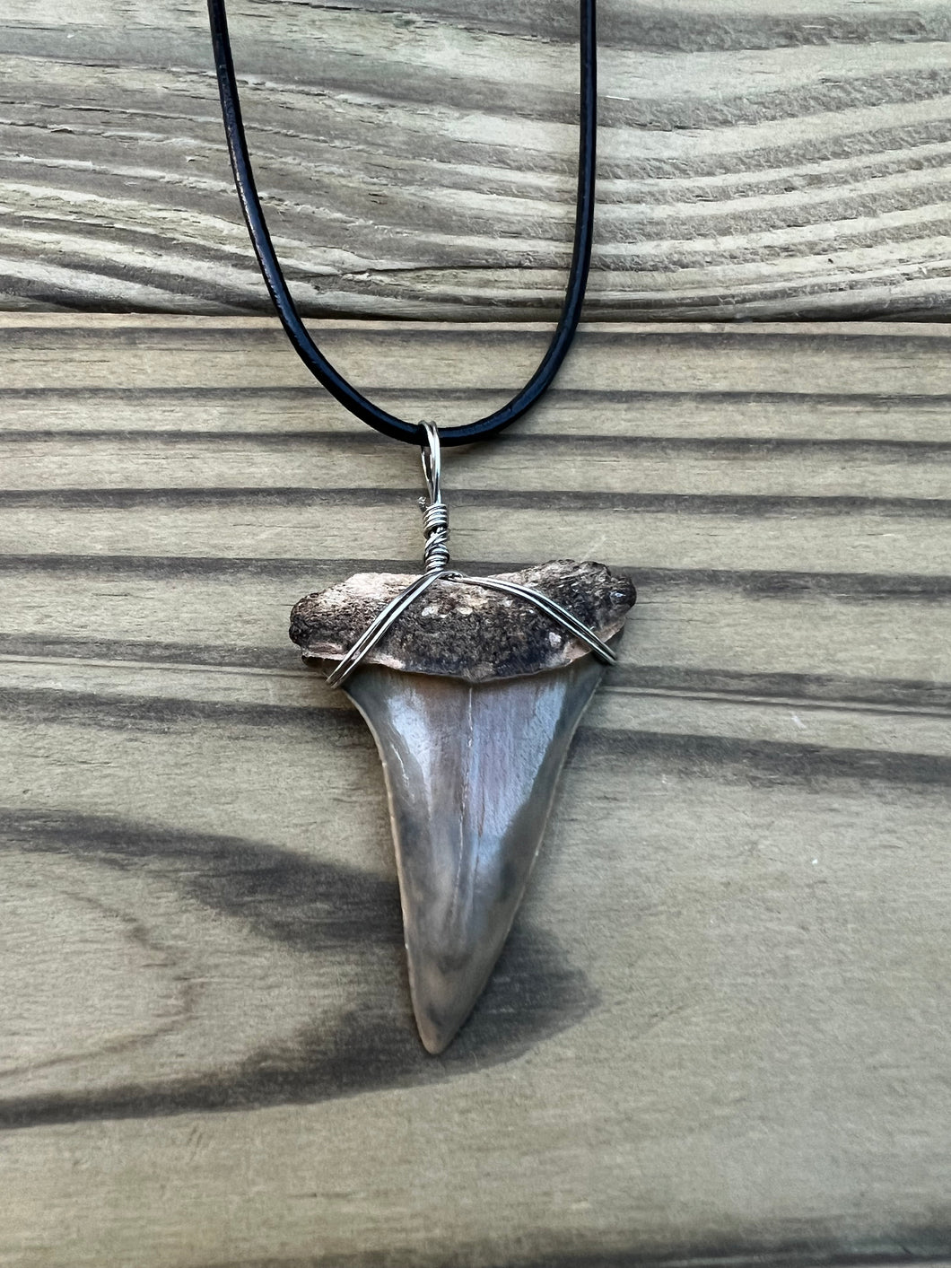 1 11/16 Inch Fossilized Mako Shark Tooth Necklace