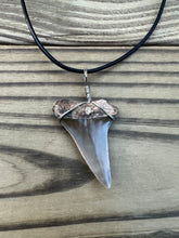 Load image into Gallery viewer, 1 11/16 Inch Fossilized Mako Shark Tooth Necklace
