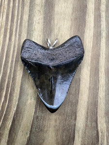 2 3/8 Inch Turquoise Gemstone Inlayed Megalodon Shark Tooth Pendant