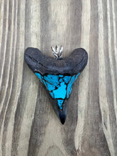 Load image into Gallery viewer, 2 5/8 Inch Turquoise Gemstone Inlayed Megalodon Shark Tooth Pendant
