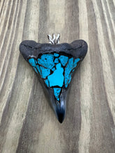 Load image into Gallery viewer, 2 5/8 Inch Turquoise Gemstone Inlayed Megalodon Shark Tooth Pendant
