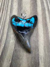 Load image into Gallery viewer, 2 9/16 Inch Turquoise Gemstone Inlayed Parotodus Benedeni Shark Tooth Pendant
