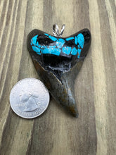 Load image into Gallery viewer, 2 9/16 Inch Turquoise Gemstone Inlayed Parotodus Benedeni Shark Tooth Pendant
