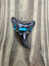 Load image into Gallery viewer, 2 7/16 Inch Turquoise Gemstone Inlayed Parotodus Benedeni Shark Tooth Pendant
