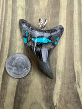 Load image into Gallery viewer, 2 7/16 Inch Turquoise Gemstone Inlayed Parotodus Benedeni Shark Tooth Pendant
