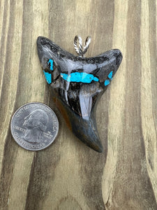 2 7/16 Inch Turquoise Gemstone Inlayed Parotodus Benedeni Shark Tooth Pendant