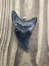 Load image into Gallery viewer, 2 13/16 Inch Turquoise Gemstone and Pyrite Inlayed Parotodus Benedeni Shark Tooth Pendant
