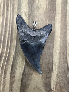 2 13/16 Inch Turquoise Gemstone and Pyrite Inlayed Parotodus Benedeni Shark Tooth Pendant