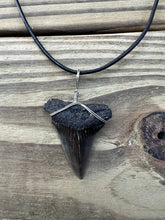 Load image into Gallery viewer, 1 9/16 Inch Fossilized Mako Shark Tooth Necklace
