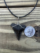 Load image into Gallery viewer, 1 9/16 Inch Fossilized Mako Shark Tooth Necklace
