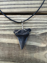 Load image into Gallery viewer, 1 9/16 Inch Fossilized Mako Shark Tooth Necklace
