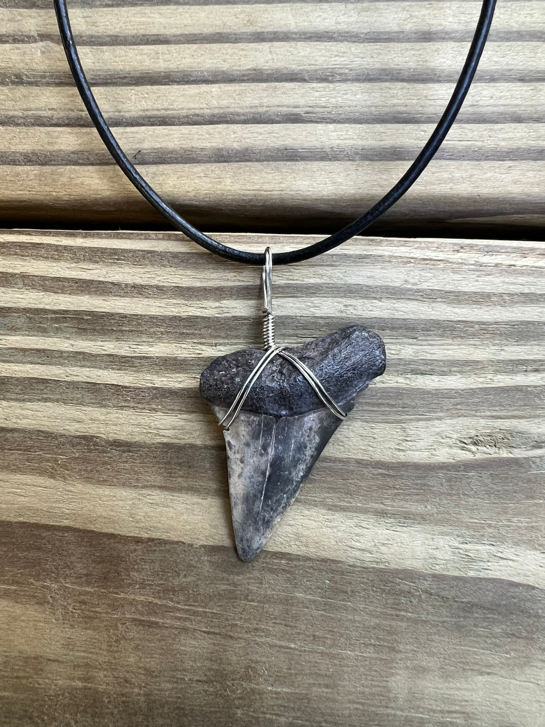 1 11/16 Inch Fossilized Mako Shark Necklace