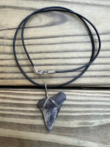 1 11/16 Inch Fossilized Mako Shark Necklace