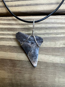 1 11/16 Inch Fossilized Mako Shark Necklace