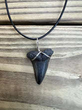 Load image into Gallery viewer, 1 5/8 Inch Fossilized Mako Shark Necklace
