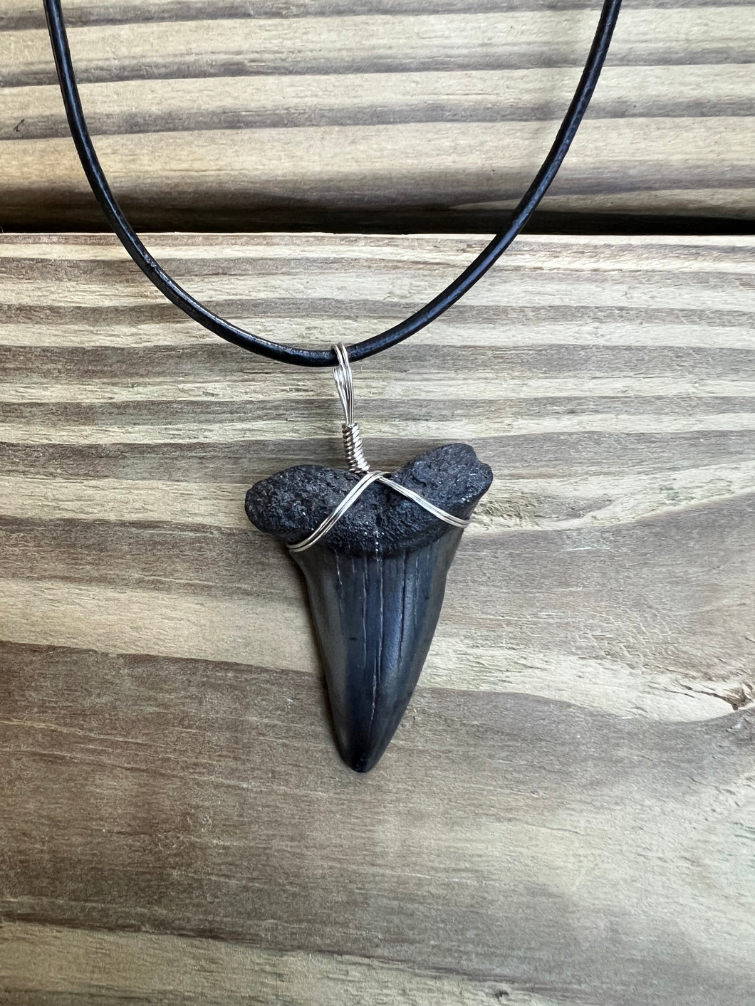 1 5/8 Inch Fossilized Mako Shark Necklace