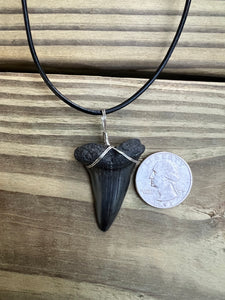 1 5/8 Inch Fossilized Mako Shark Necklace