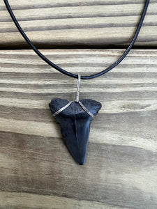 1 5/8 Inch Fossilized Mako Shark Necklace