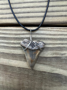 1 1/2 Inch Fossilized Mako Shark Necklace