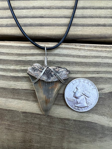 1 1/2 Inch Fossilized Mako Shark Necklace