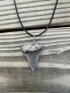 1 1/2 Inch Fossilized Mako Shark Necklace