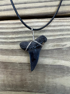 1 11/16 Inch Authentic Fossil Mako Shark Necklace