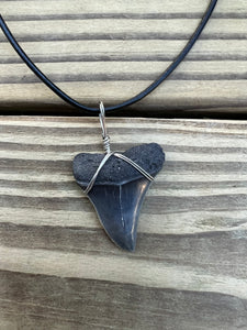 1 3/8 Inch Fossilized Mako Shark Necklace