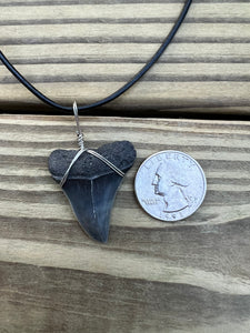 1 3/8 Inch Fossilized Mako Shark Necklace