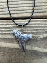 Load image into Gallery viewer, 1 11/16 inch Fossilized Angustiden Shark Tooth Necklace
