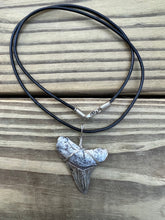 Load image into Gallery viewer, 1 11/16 inch Fossilized Angustiden Shark Tooth Necklace
